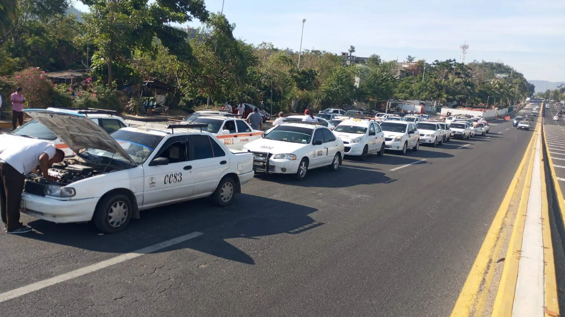 TAXIS COLECTIVOS